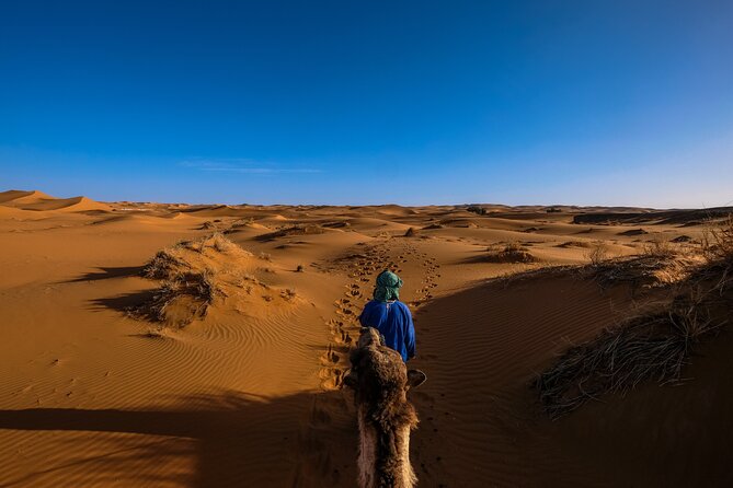 Doha Desert Safari Dune bashing,Sandboarding,CamelRide,Inland Sea - Photo stops and the quieter side of the desert