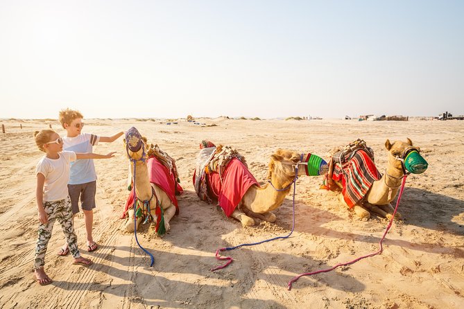 Doha Desert Safari: Dunebashing, Camel, Sandboarding & Inland Sea - The camel ride is short but useful
