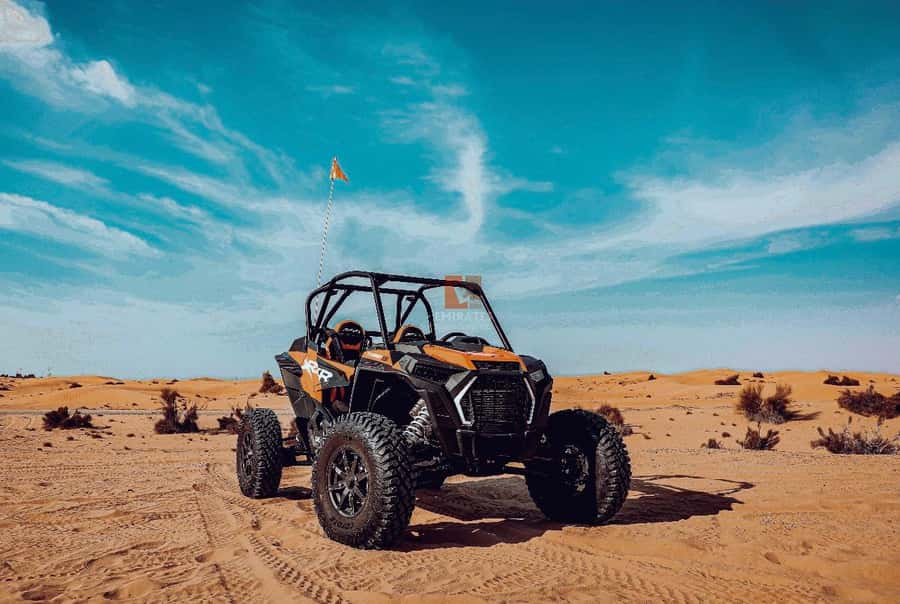 Doha: Desert Safari Experience – Quad Bike, Buggy/Camel Ride - Leaving Doha for Al Wakrah Municipality