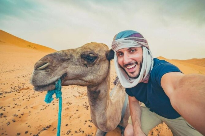 Doha Desert Safari Horse Riding, Camel Ride, ATVs & Inland Sea - One hour on Arabian horses at Sealine Beach