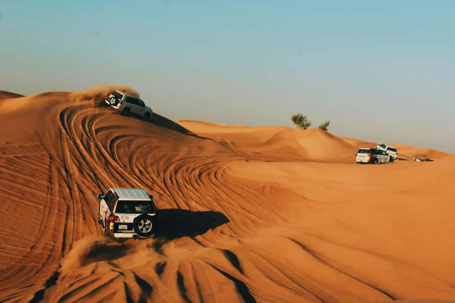 Doha: Desert Safari, Inland Sea, Camel Ride, Sandboarding - Camel riding and the Bedouin connection