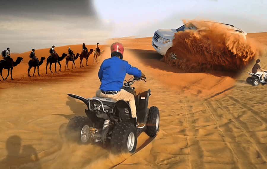 Doha: Desert Safari, Inland Sea, Camel Ride, Sandboarding - Sandboarding for beginners and confident sliders