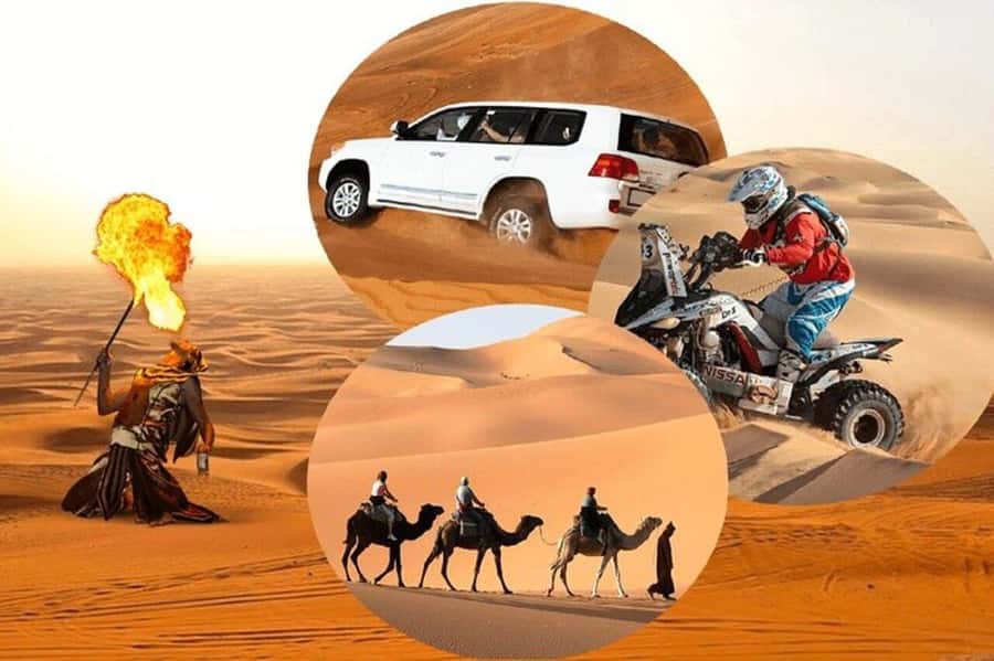 Doha: Desert Safari, Inland Sea, Camel Ride, Sandboarding - Optional quad biking for a stronger adrenaline hit