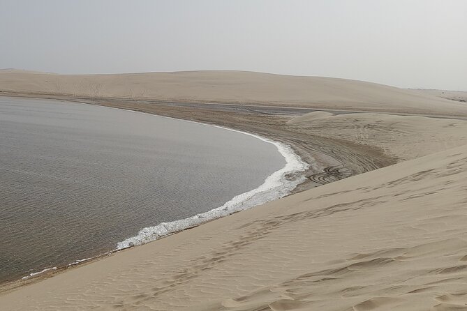 Doha: Desert Safari (Private Tour) with Pick Up & Drop Off - Key points to know before booking