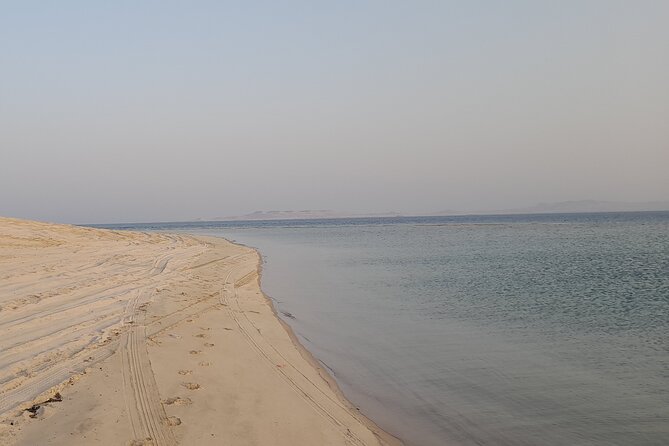 Doha: Desert Safari (Private Tour) with Pick Up & Drop Off - Camel rides and ATVs are separate choices