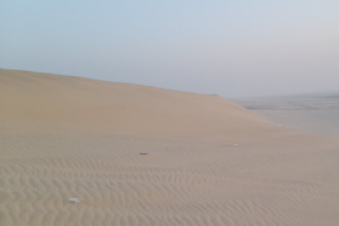 Doha: Desert Safari (Private Tour) with Pick Up & Drop Off - What $180 means for a group of six