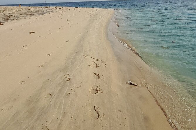 Doha: Desert Safari (Private Tour) with Pick Up & Drop Off - Dune bashing in a private 4x4