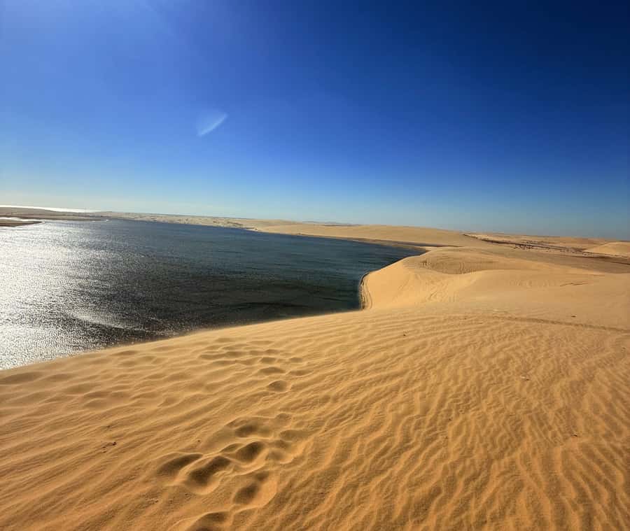 Doha: Desert Safari, Quad Bike, Camel Ride & Inland Sea - Key points at a glance