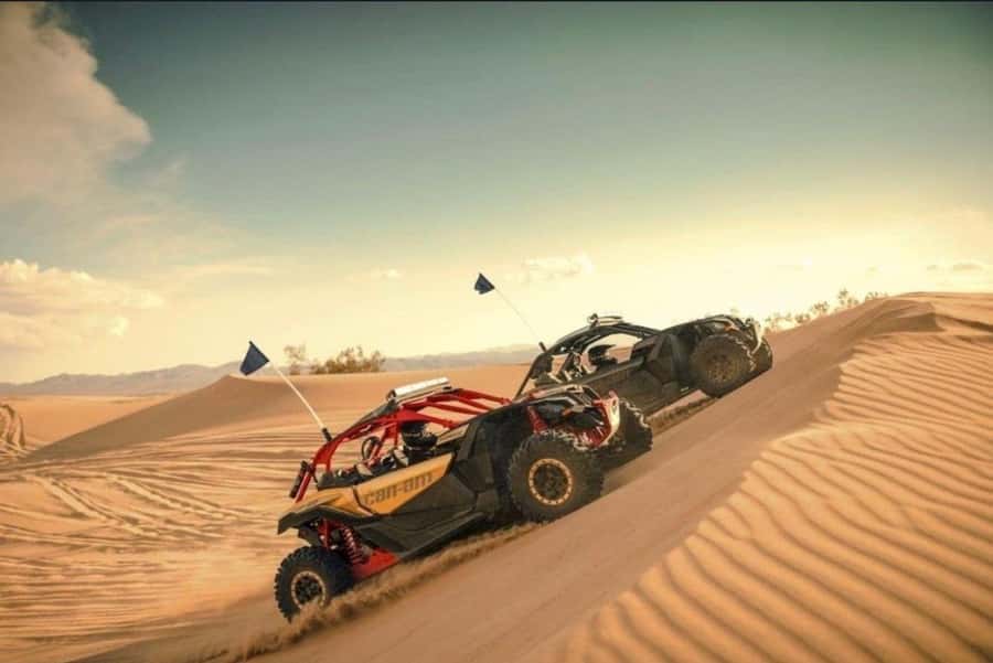 Doha: Desert Safari, Quad Bike, Camel Ride & Inland Sea Tour - Should you book it?