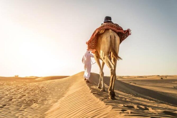 "Doha Desert : Safari, Sandboarding, Camel Ride & Inland Sea" - Is $59.50 a fair price?