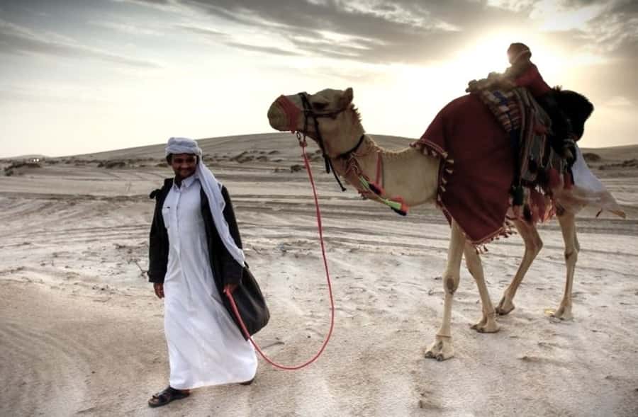 Doha Desert Safari: Sandboarding, Camel Ride & Swimming Fun - Key points to know before booking