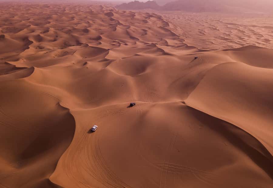 Doha: Desert Safari, Sandboarding, Dune Bashing & Inland Sea - Sandboarding on Qatar’s soft dunes