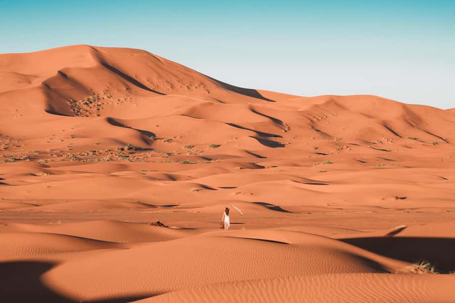 Doha: Desert Safari, Sandboarding, Dune Bashing & Inland Sea - What the $22 price really includes