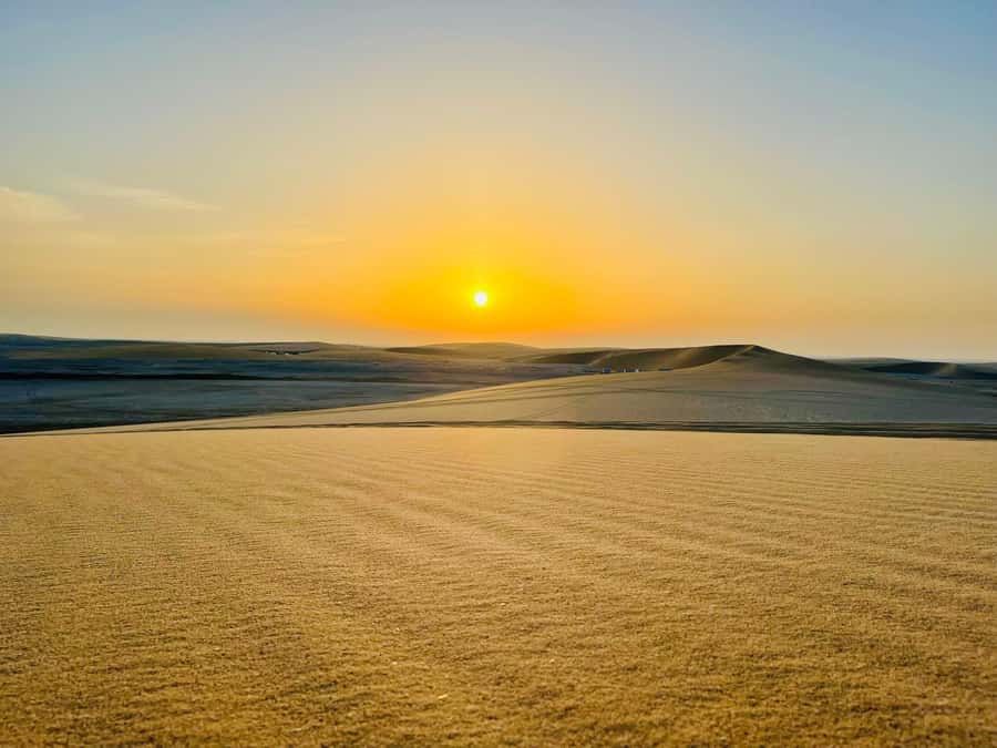 Doha: Desert Safari Sunrise Tour/Sunset Tour - Key points to know before you book