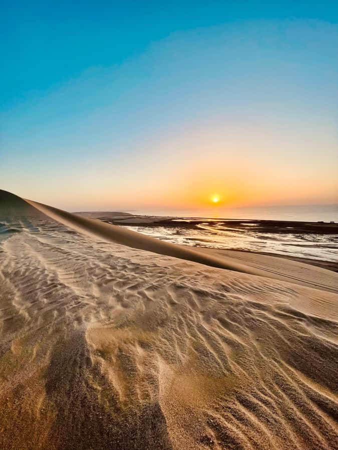 Doha: Desert Safari Sunrise Tour/Sunset Tour - Forty-five minutes of dune bashing