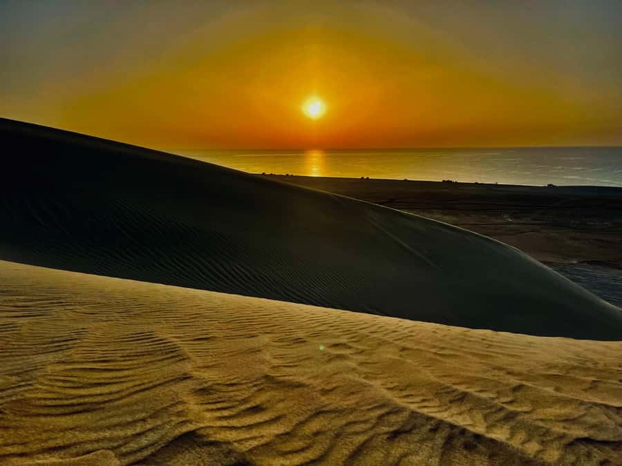 Doha: Desert Safari Sunrise Tour/Sunset Tour - Sandboarding for a change of pace