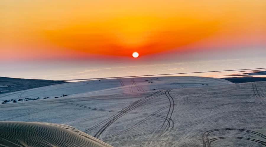 Doha: Desert Safari Sunrise Tour/Sunset Tour - Mesaieed camel ride and first photo stop