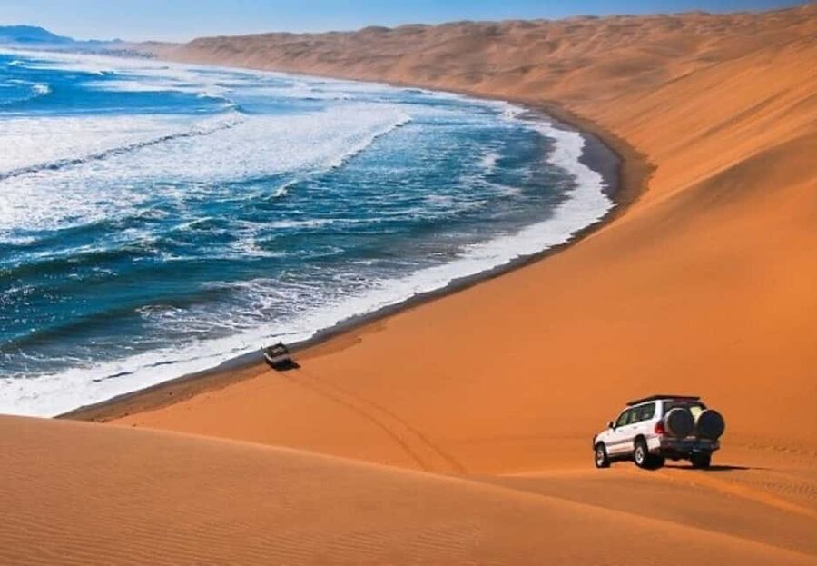 Doha: Desert Safari to the Inland Sea with All Activities - Sea Line Beach brings in camels and falcons