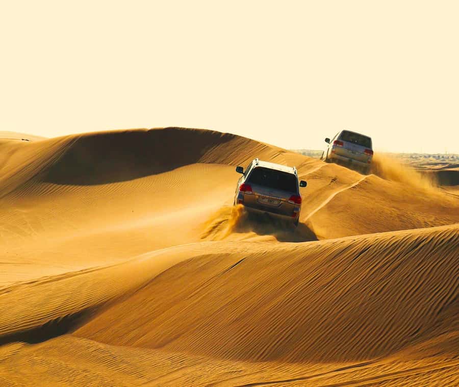 "Doha Desert Safari with all activities" - Key points at a glance