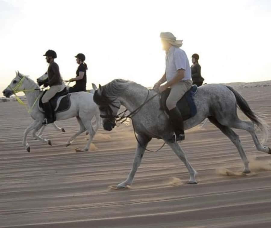 Doha: Desert Safari with Camel Ride and Quad Bike and Buggy - Leaving Doha For Qatar’s Open Desert