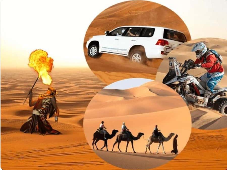 Doha:Desert Safari with Camel Ride, ATV Bike,& Sand Boarding - A camel ride before the engines start