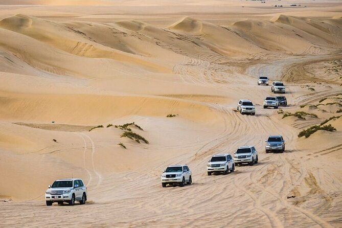 Doha Desert Safari with Camel Ride, Sand Boarding,Inland Sea Tour - A small group changes the feel of the outing