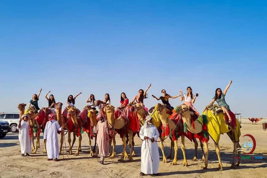 Doha: Desert Safari with Dune Bashing and Inland Sea - What the $60 price really includes