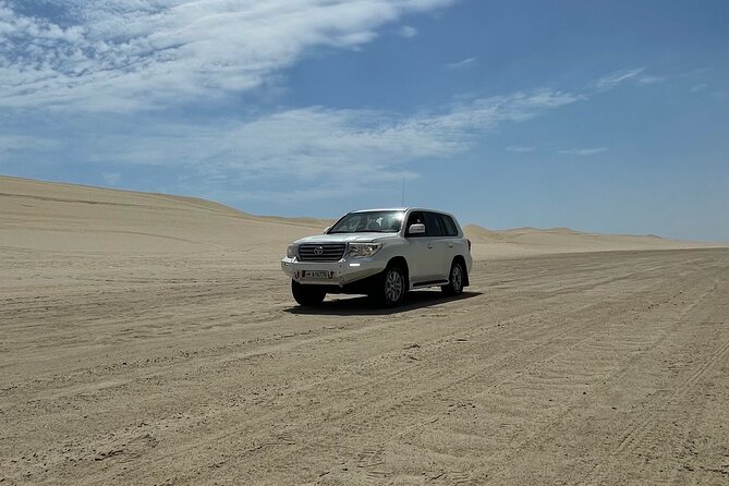 Doha Desert Safari with Inland Sea visit - Meeting camels and falcons at the base camp