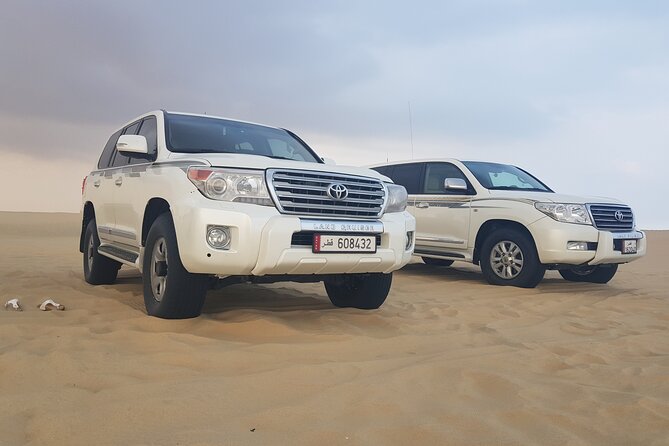 Doha: Desert Safari With Quad bike ,Camel Ride And Sand Boarding - The falcon show and the cost of photographs