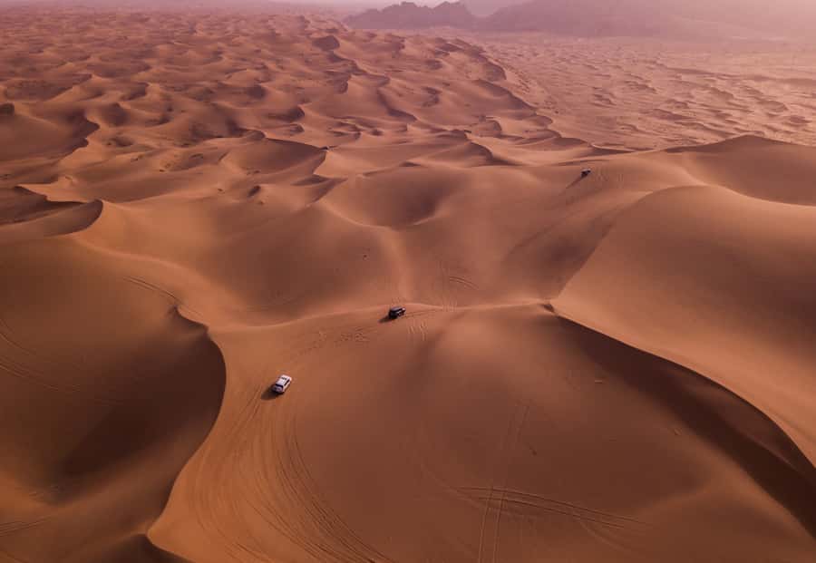 Doha: Desert Safari with Quad Bike, Sandboard & Camel Ride - How the $24 price works in practice