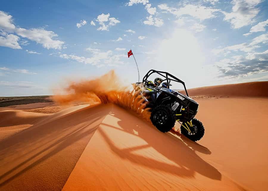 Doha: Desert Safari with Quad Bike, Sandboard & Camel Ride - Camels and falcons before the fast activities