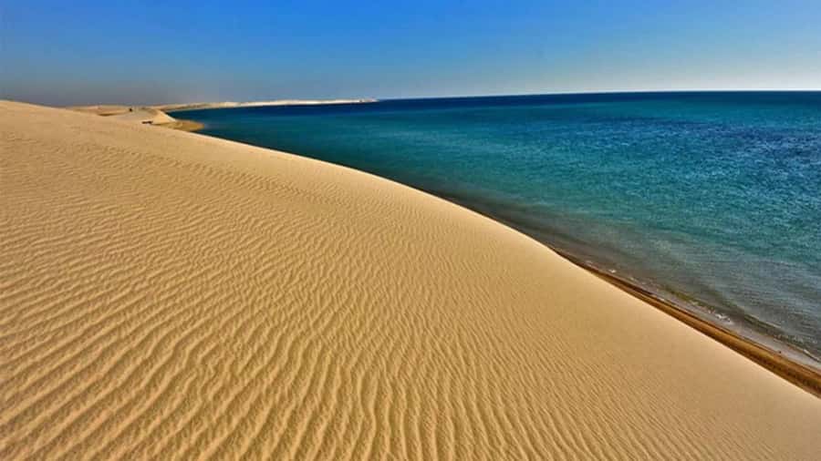 Doha: DesertSafari with Quad Bike, Camel Ride & Sandboarding - Five things to know before you book