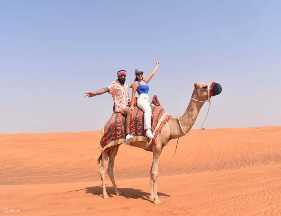 Doha: DesertSafari with Quad Bike, Camel Ride & Sandboarding - Who should book this desert safari?