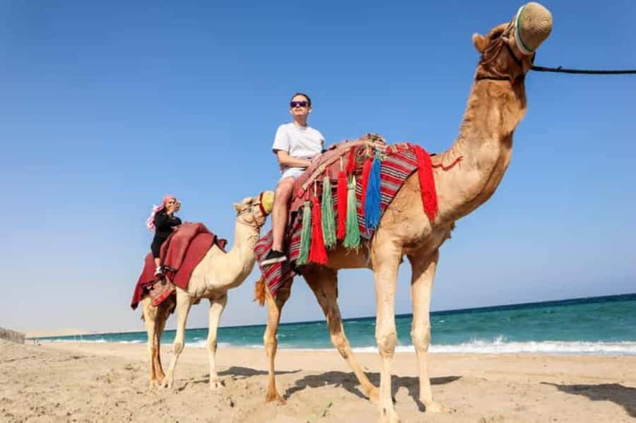 Doha: DesertSafari with Quad Bike, Camel Ride & Sandboarding - A short camel ride and Arabic hospitality