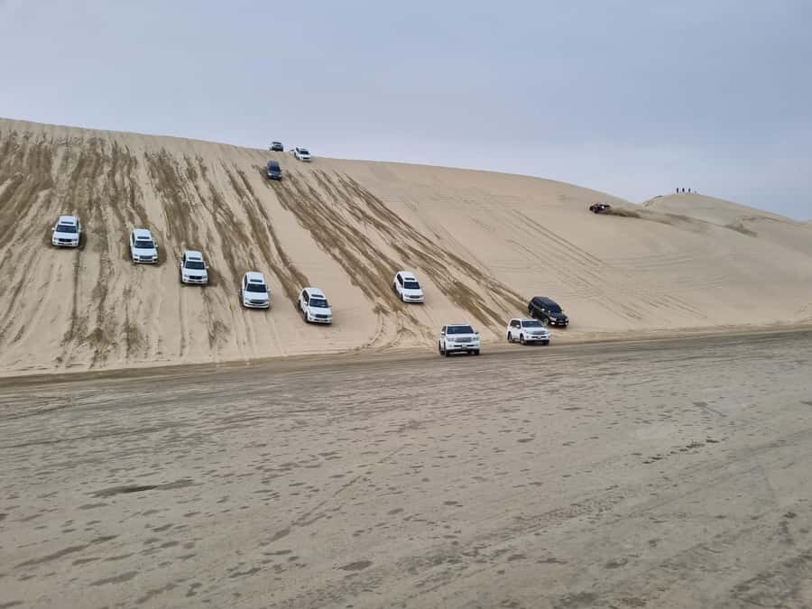 Doha: Dune bashing, camel ride, sandboarding & Inland sea - Sealine Beach: camels and the first burst of action
