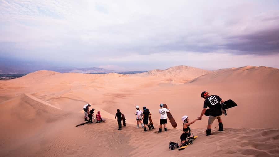 Doha: Dune Bashing Safari, Falcon, Camel, ATV, Sandboarding - Key points before you book