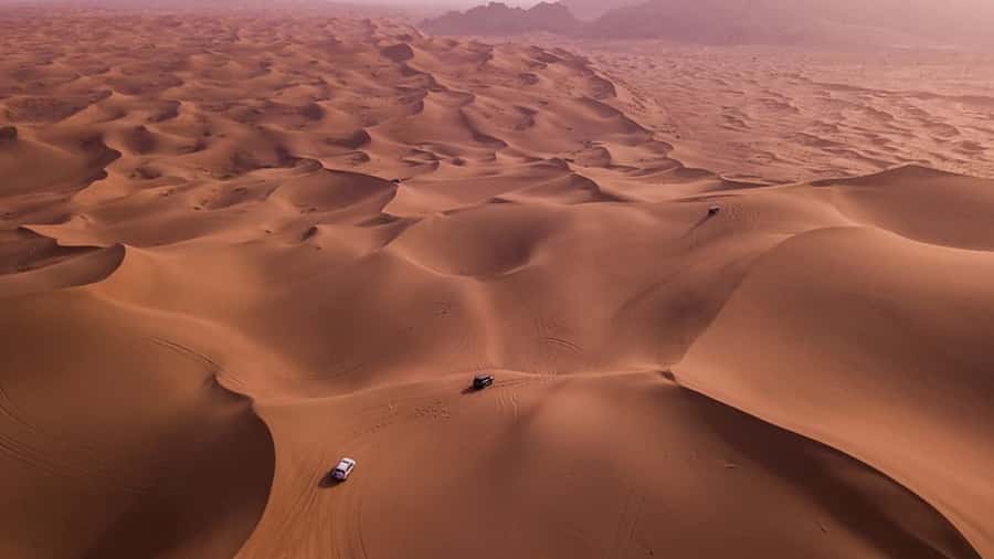 Doha: Dune Bashing Safari, Falcon, Camel, ATV, Sandboarding - From Doha to Sealine, the desert gateway