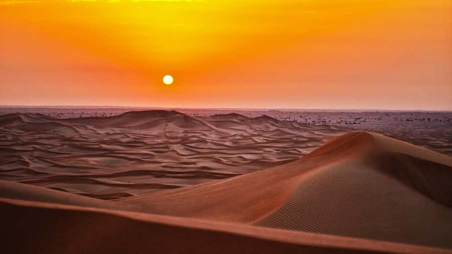 Doha: Dune Bashing Safari, Falcon, Camel, ATV, Sandboarding - Sandboarding from the highest dunes