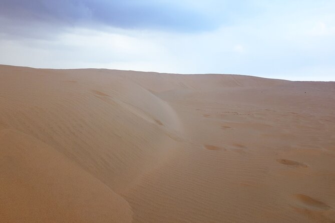 Doha: Escape to Eternity, Relaxing Desert Wonders with Camel Ride - Who should choose this outing