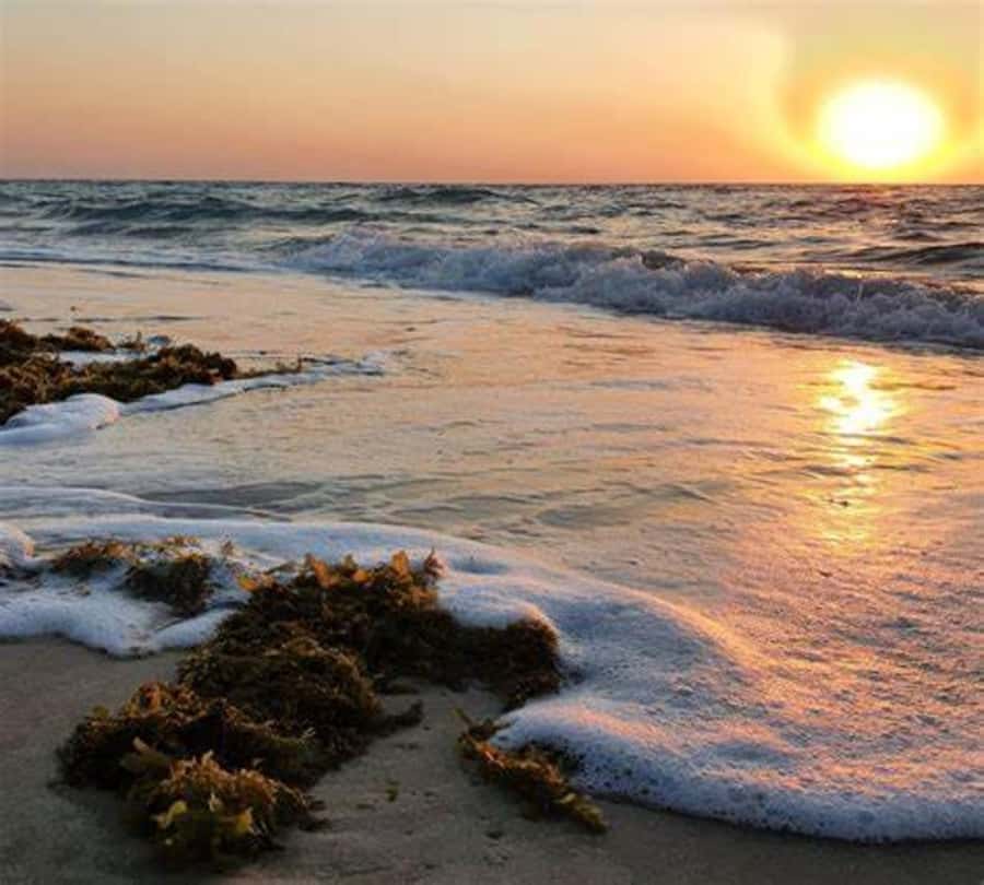 Doha: Full-Day Desert Safari, Dune Bashing & BBQ Dinner - What the $195 price really includes