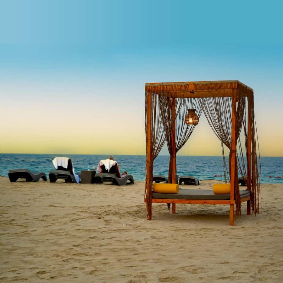 Doha: Full-Day Desert Safari, Dune Bashing & BBQ Dinner - Forty minutes of dune bashing