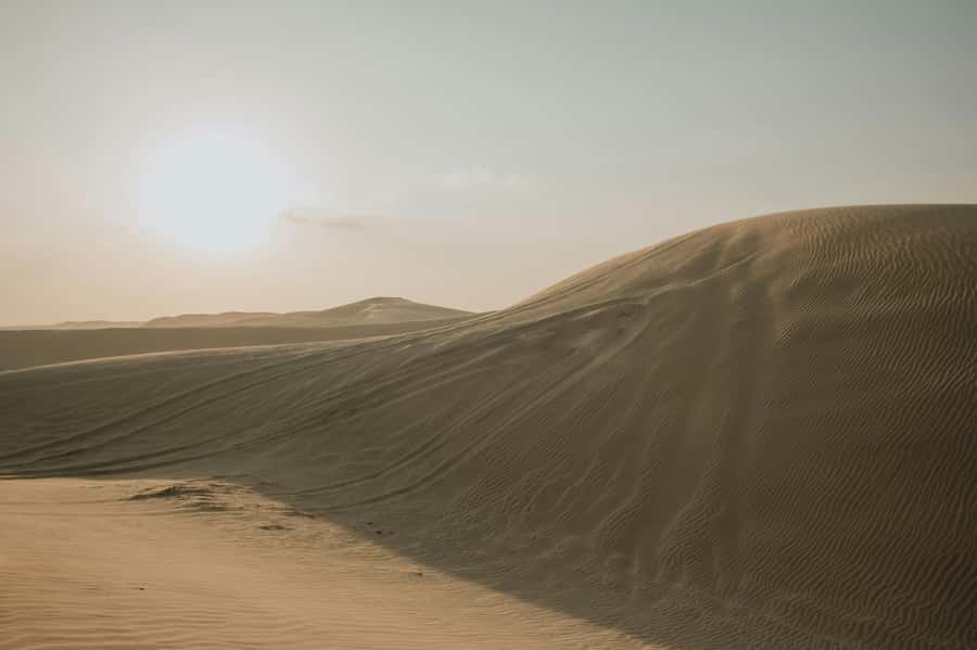 Doha: Full-Day Desert Safari with Lunch/Dinner, Camel Ride - Key points at a glance