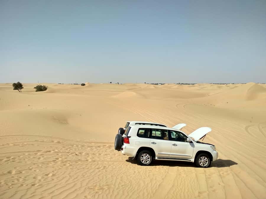 Doha: Full-Day Desert Safari with Lunch/Dinner, Camel Ride - Sandboarding on soft dunes