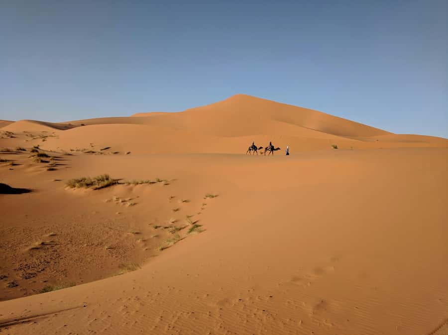 Doha: Full-Day Desert Safari with Lunch/Dinner, Camel Ride - Khor Al Adaid, where sand meets the Gulf