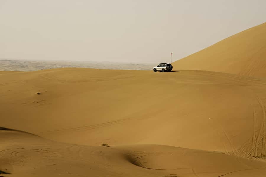 Doha: Full-Day Desert Safari with Lunch/Dinner, Camel Ride - Timing, comfort, and safety