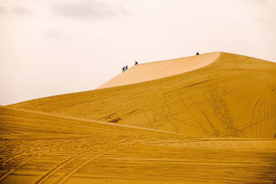 Doha: Full-Day Desert Safari with Lunch/Dinner, Camel Ride - Who will enjoy this desert day most