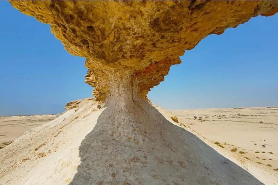 Doha: Full-Day North and West Tour with Forts and Qatari - Key Points Before You Book