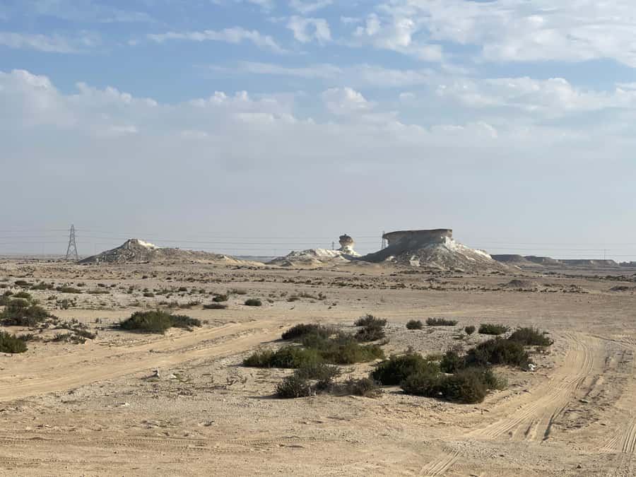 Doha Full Day North & West Tour | Rich History & culture - Al Thakira mangroves and a rare change of scenery