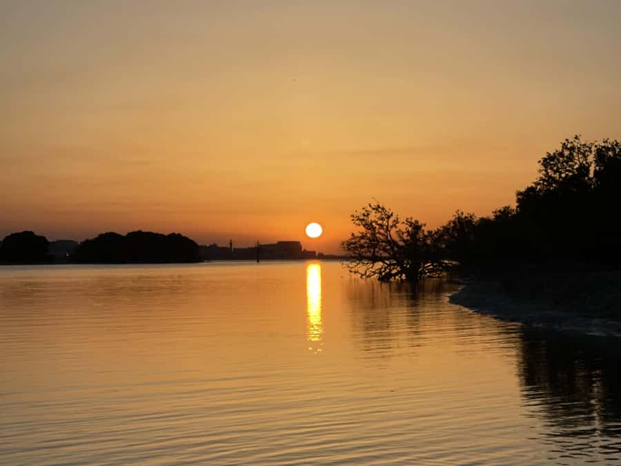 Doha: Golden Horizons: Desert Sunrises and Sunsets - Sandboarding, free time, and the best desert photographs