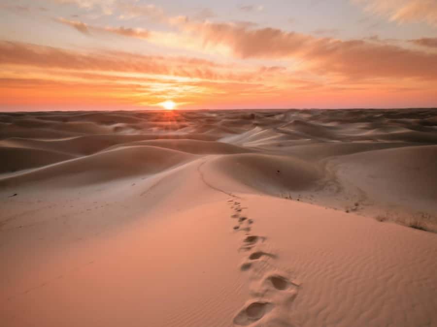 Doha: Golden Horizons: Desert Sunrises and Sunsets - A second round of dune driving and one final photo stop